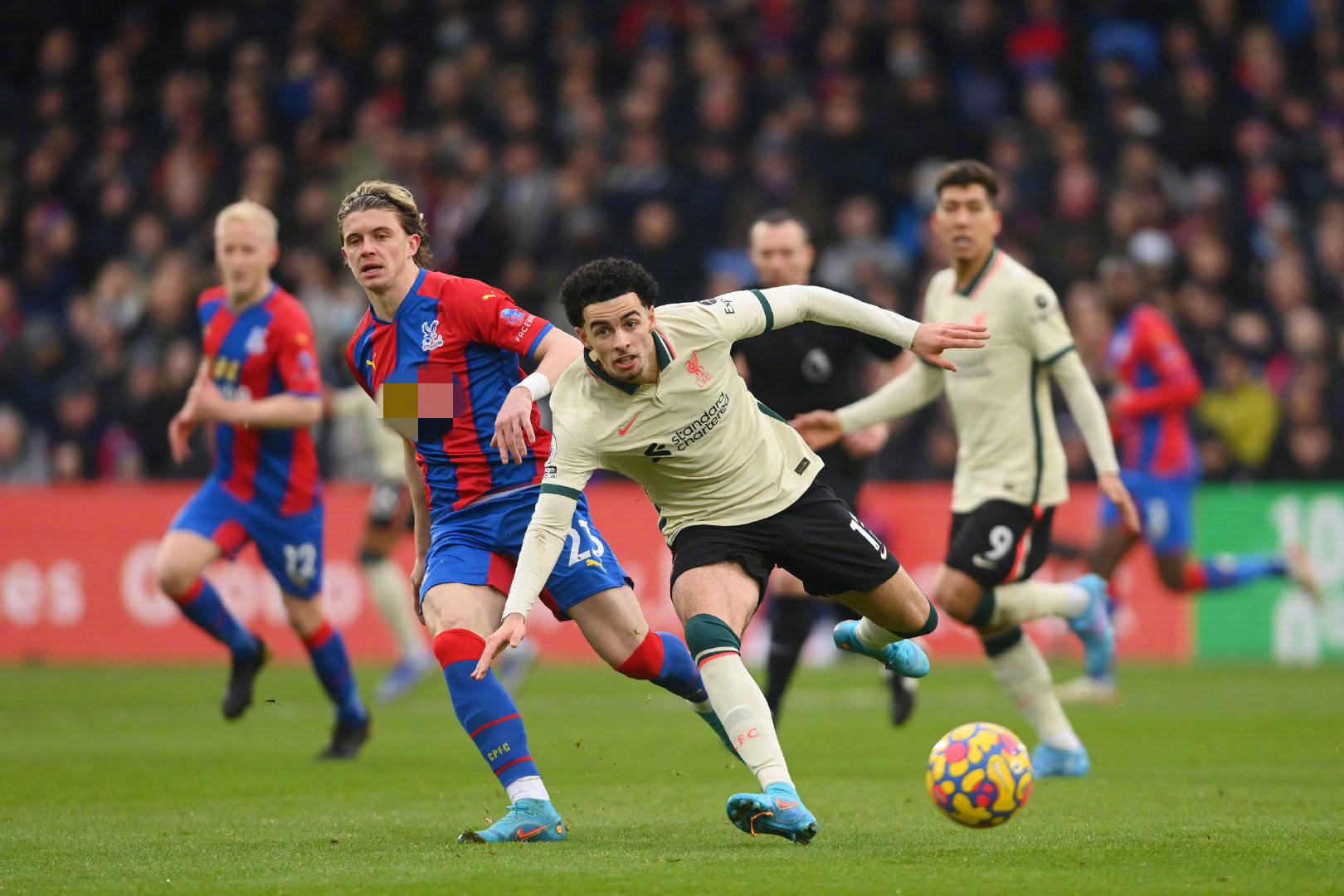 影响职业生 影响职业生